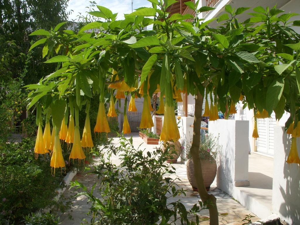 Likourgos Beach Kavos Exterior photo